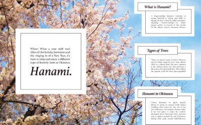 Hanami – Cherry Blossom in Okinawa