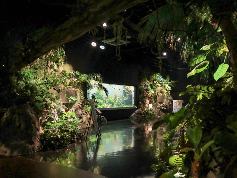 Aquarium interior