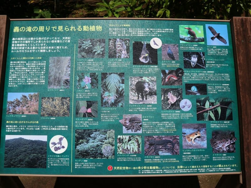 Wildlife information board