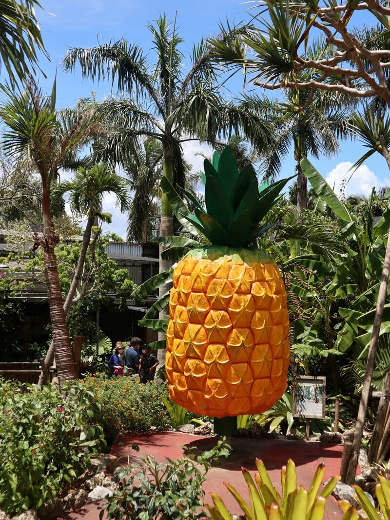 Giant pineapple