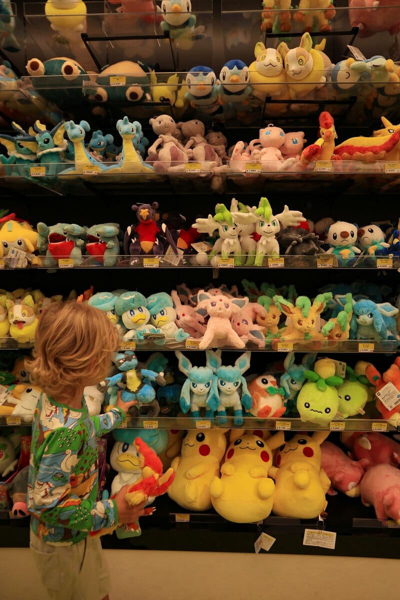 Pokemon plush display